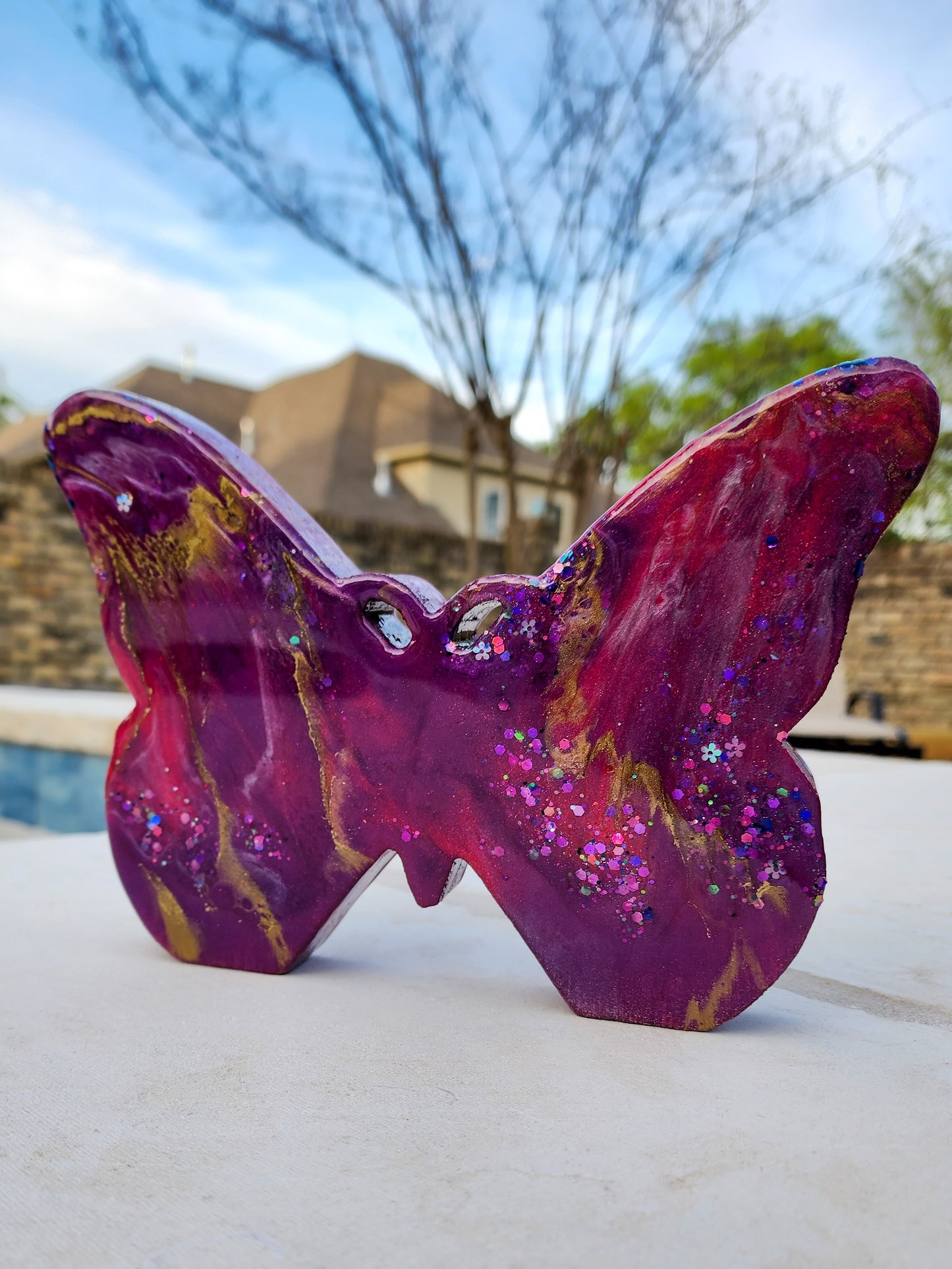 Large Butterfly Pink & Purple